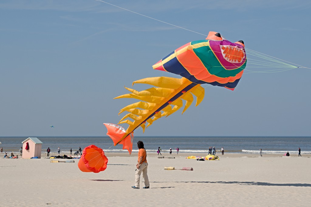 Cerfs-Volants vliegerfestival festival festiviteit evenement event berck sur mer vlieger speelgoed strand